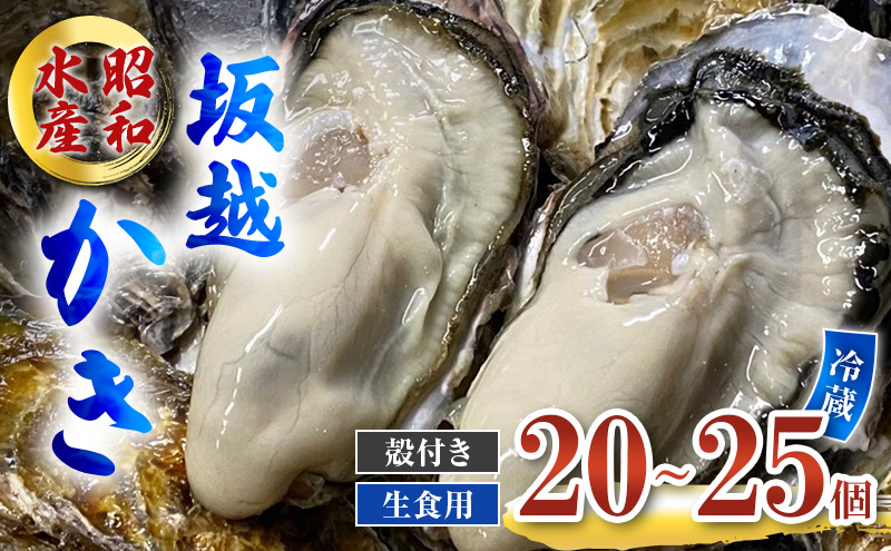 牡蠣 生食用 坂越かき 殻付き 20～25個 昭和水産 [ 生牡蠣 真牡蠣 かき カキ 冬牡蠣 ]