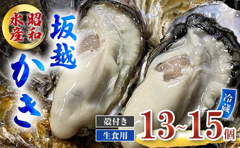 牡蠣 生食用 お試し 坂越かき 殻付き 13～15個 昭和水産 [ 生牡蠣 真牡蠣 かき カキ 一人暮し 冬牡蠣 ]