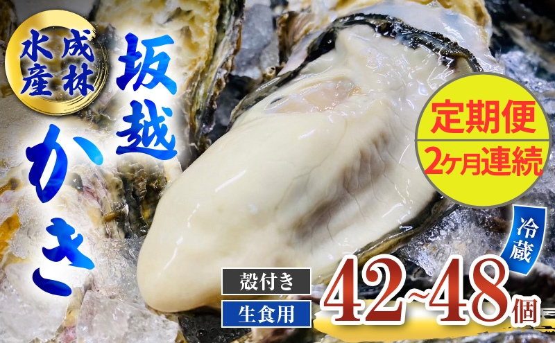 定期便 牡蠣 生食用 坂越かき 殻付き 42～48個《2ヶ月連続お届け》 成林水産 [ 生牡蠣 真牡蠣 かき カキ 冬牡蠣 ]