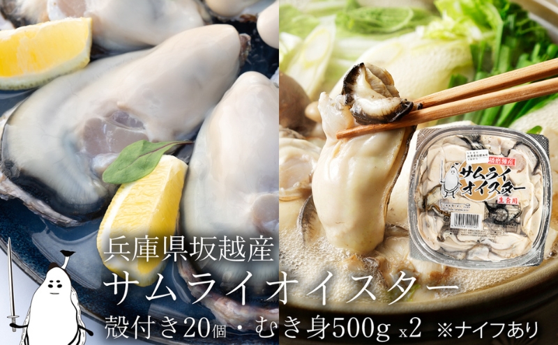 牡蠣 生食 坂越かき むき身 500g×2、 殻付き 20個(牡蠣ナイフ・軍手付き)サムライオイスター 生牡蠣 冬牡蠣