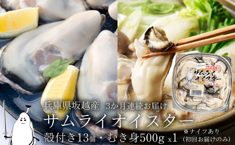 牡蠣 定期便 生食 坂越かき むき身 500g×1、 殻付き 13個(牡蠣ナイフ・軍手付き)3ヵ月連続お届け 生牡蠣 冬牡蠣