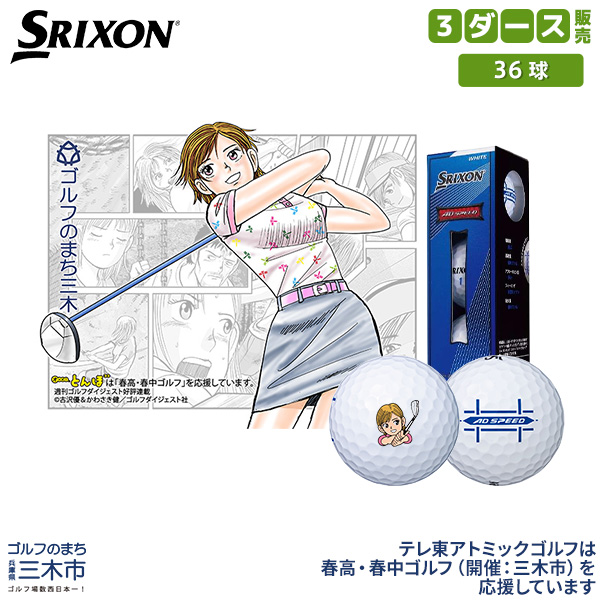10ダースセット  NEW SRIXON Z -STAR XV