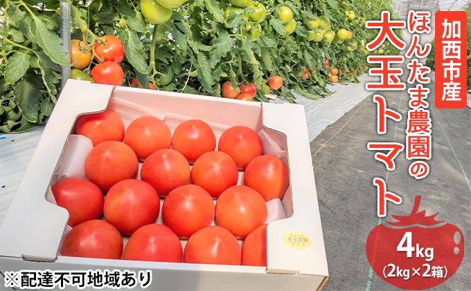 加西市産 ほんたま農園の大玉トマト 4kg（2kg×2箱）｜ふるラボ