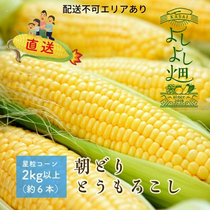 安い購入 宮崎県産朝どれ野菜セット10〜13品 fucoa.cl