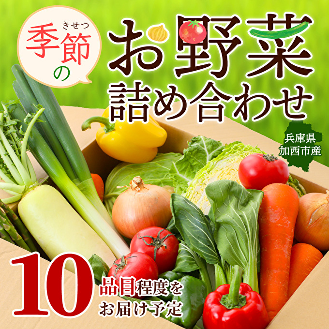 野菜セット 加西市産 季節の野菜詰め合わせセット 季節の野菜10品程度