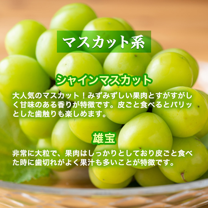 兵庫県産 旬の朝採れ ぶどう 2種類セット 品種おまかせ（2kg、3～4房入