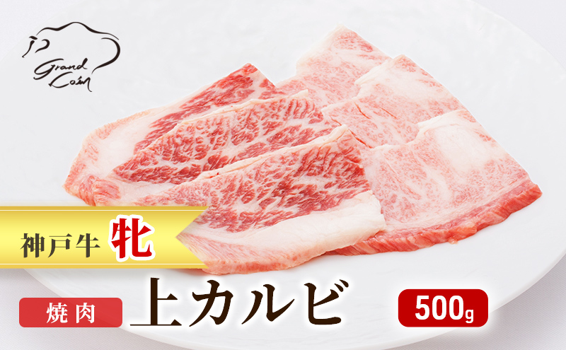  神戸ビーフ 神戸牛 牝 上カルビ 焼肉 500g 川岸畜産 冷凍 肉 牛肉 すぐ届く 小分け