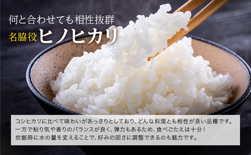 令和6年産新米予約受付】 定期便 ヒノヒカリ 3kg×2袋 6ヶ月連続お届け 単一原料米 おいしい お米 事業者支援 白米 精米 国産 ごはん ご飯  白飯 小分け 百合農園｜ふるラボ