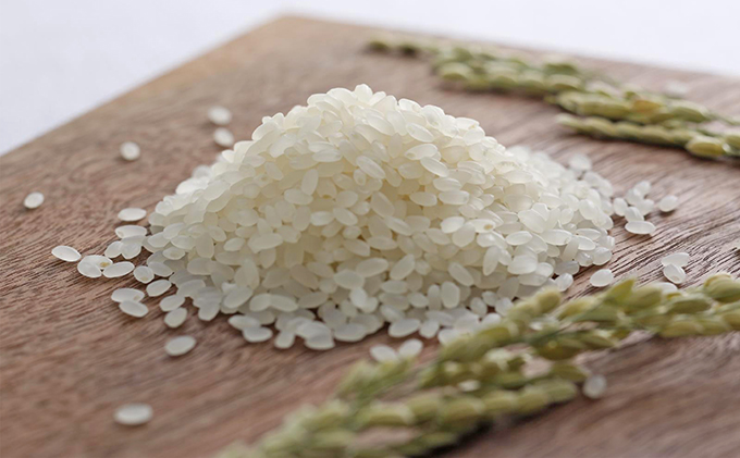 令和6年産！有機・減農薬栽培米キヌヒカリ(白米)10kg お米 