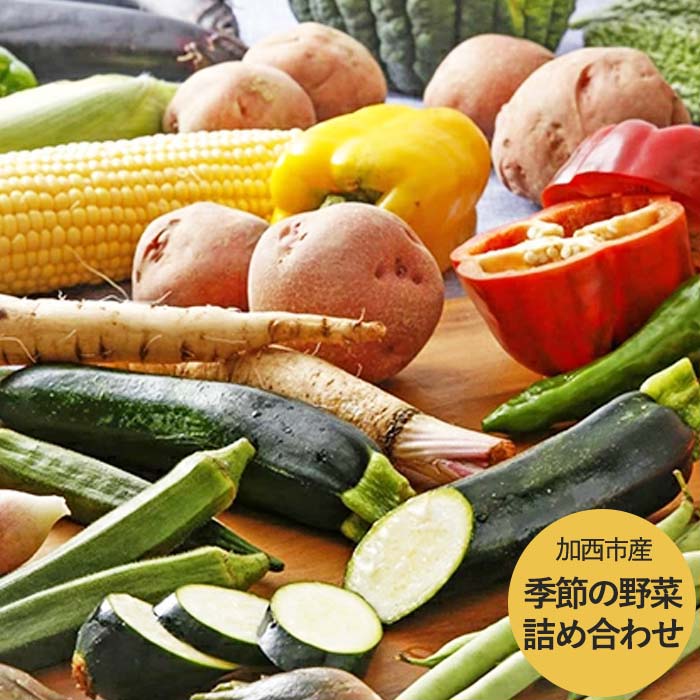 野菜セット 加西市産 季節の野菜詰め合わせセット 季節の野菜10品程度