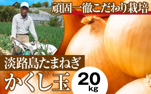 今井ファームの淡路島たまねぎ「かくし玉」20kg　　[玉ねぎ 玉葱 淡路島 玉ねぎ たまねぎ]