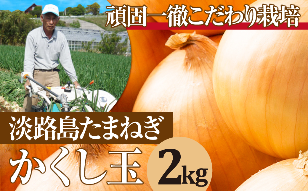 今井ファームの淡路島たまねぎ「かくし玉」 2kg　　[玉ねぎ 玉葱 タマネギ 玉ねぎ 淡路島産 たまねぎ 玉ねぎ 玉ねぎ 玉ねぎ 玉ねぎ 玉ねぎ]