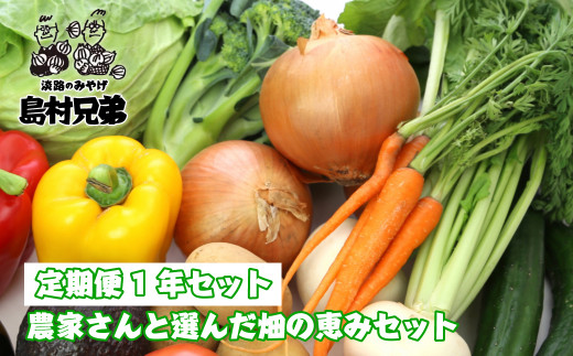 【定期便１年セット】農家さんと選んだ畑の恵みセット