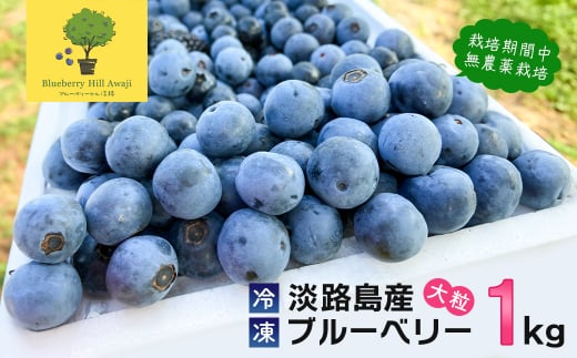 【淡路島産】大粒ブルーベリー 1kg 冷凍生果《栽培期間中、無農薬栽培》