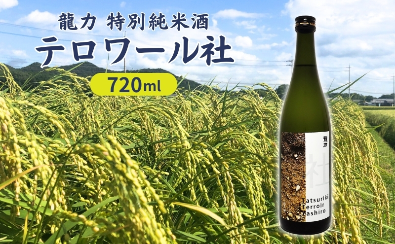 龍力 特別純米酒 テロワール社 720ml 本田商店 加東市特A地区 社産山田錦使用[日本酒 酒 お酒 四合瓶 贈答品 辛口 ]