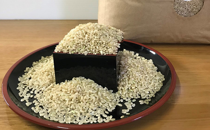 米 令和5年産 加東市産 ヒノヒカリ 玄米 10kg