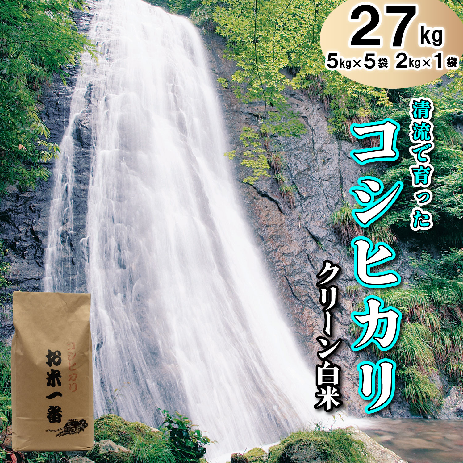 [クリーン白米]多可町加美区の清流で育ったコシヒカリ27kg[832]