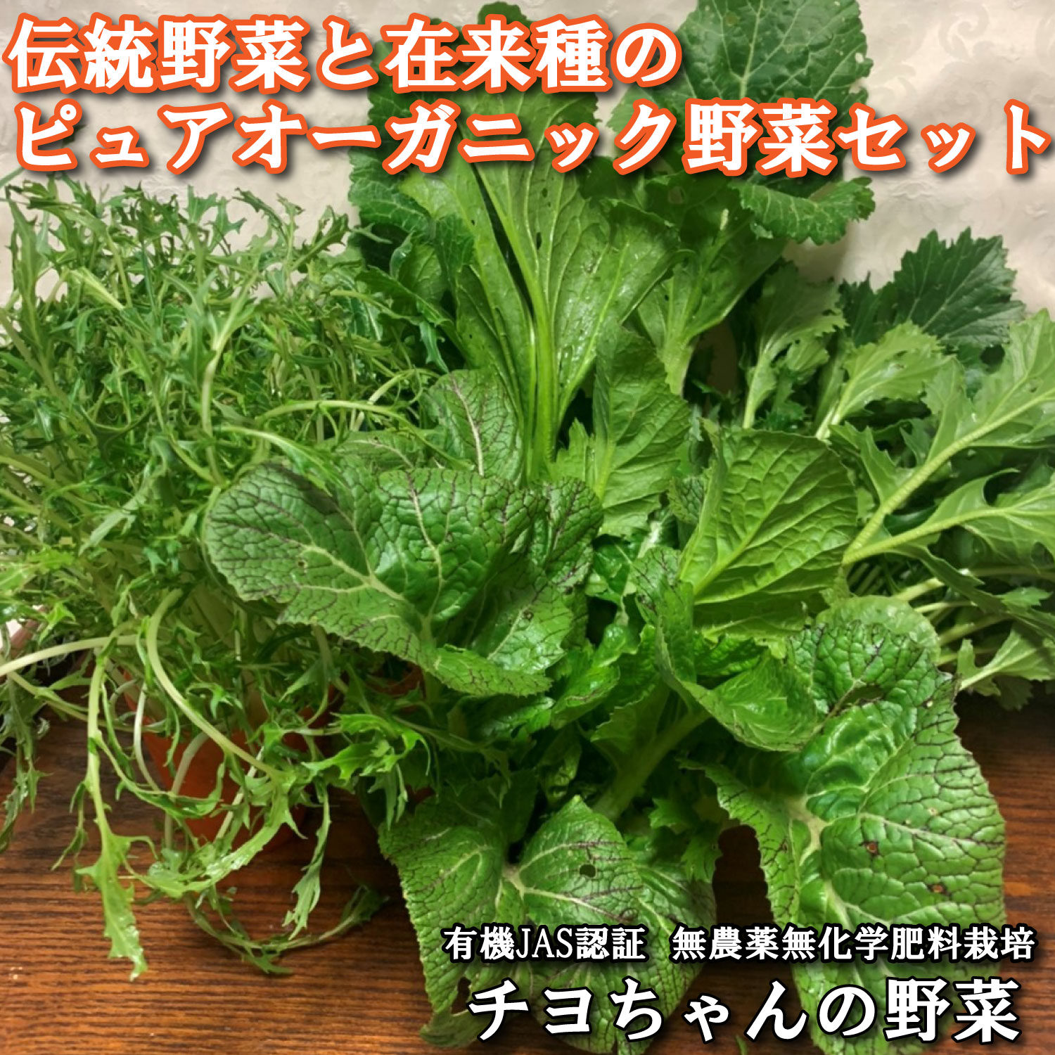 【季節限定】伝統野菜と在来種のピュアオーガニック野菜セット[1179]