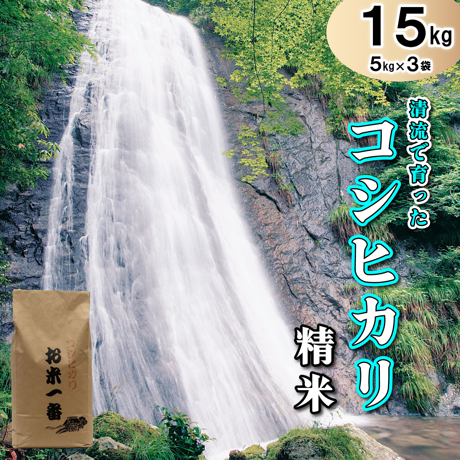 多可町加美区の清流で育ったコシヒカリ【精米】５kg×３袋[828]