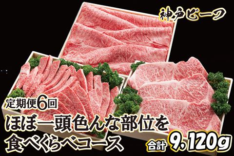 神戸牛 ほぼ一頭色んな部位を食べくらべコース（定期便６回）[620]