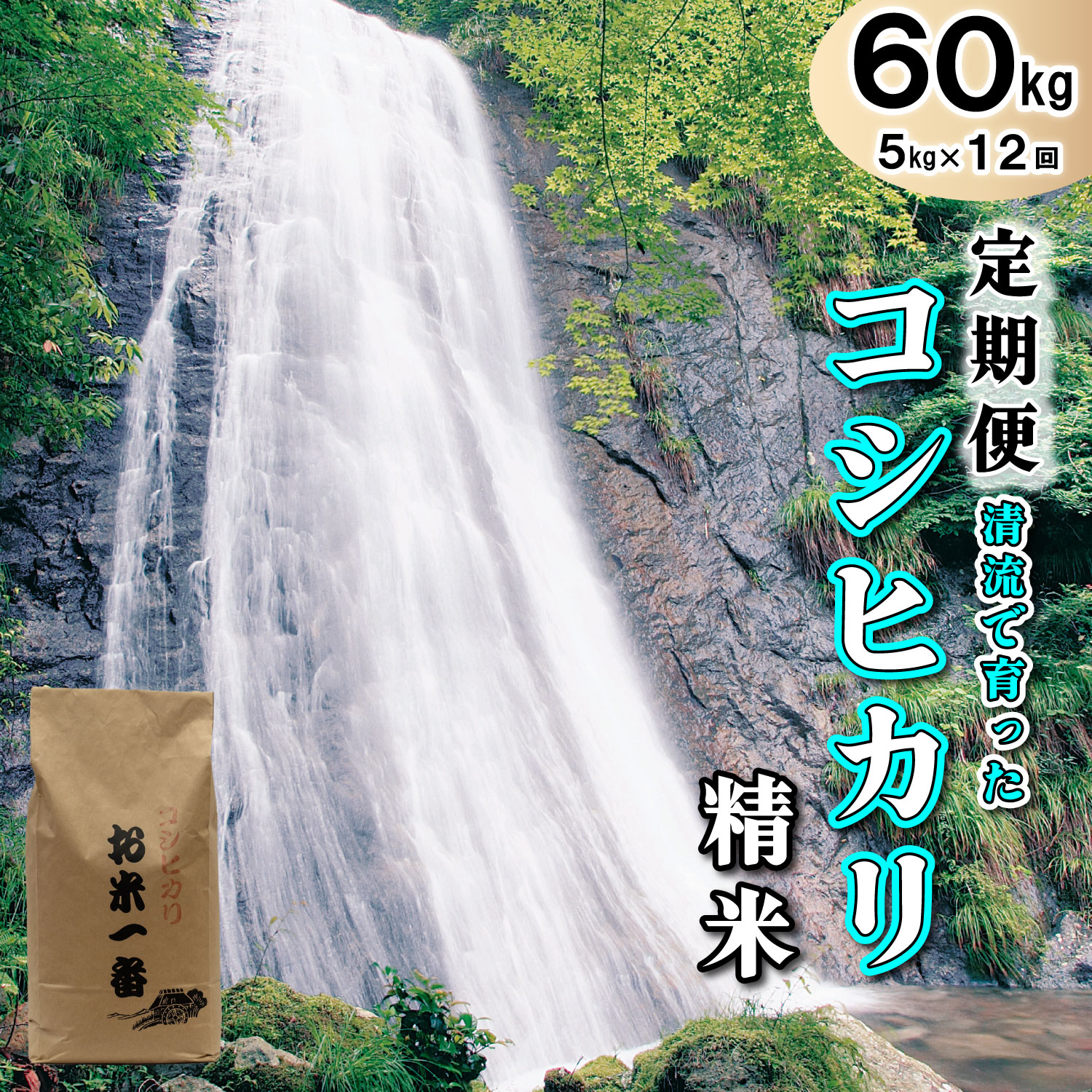 [定期便]多可町加美区の清流で育ったコシヒカリ[精米]5kg×12か月[833]