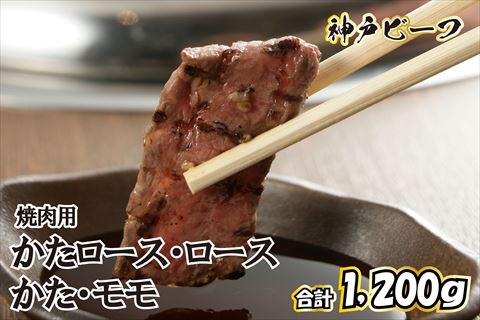 神戸牛 焼肉用セット TKYS5[615]