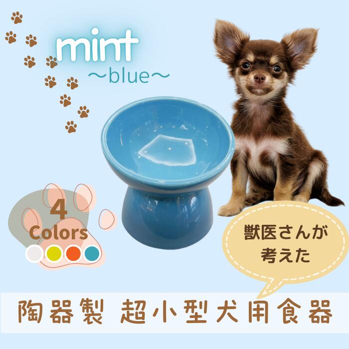 ペット用食器 『 超小型犬用食器 ミント ブルー 』 (スケーター株式会社) フードボウル 犬用食器 ペット用 犬 食器 餌 餌入れ えさ入れ ペットフード入れ 小型犬 マット付 536229 奈良県 奈良市 なら 9-057