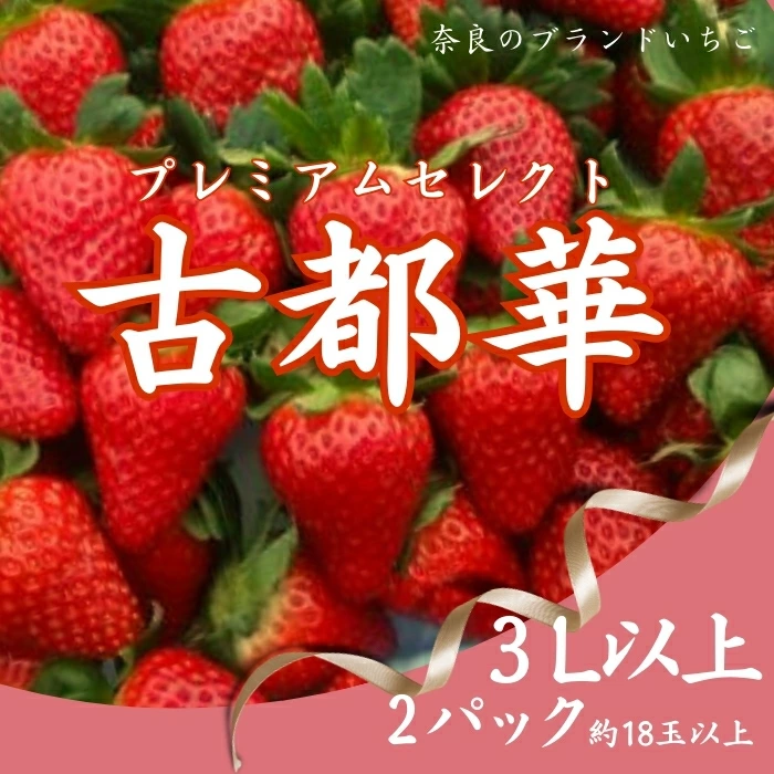 いちご 苺 古都華プレミアムセレクト（２パック入り）甘い いちご 大粒 奈良県認証 めいとく農園 奈良県 奈良市 奈良 なら 25-020