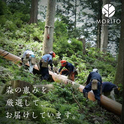 MORITO】丸太（切り株）とアイアンスツール（杉）／森庄銘木 サイド