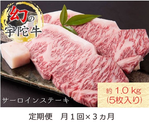 毎月定期便全3回 名産 認定肉 宇陀牛 国産 黒毛和牛 サーロイン ステーキ 5枚 計1kg / 山繁 ふるさと納税 牛肉 牛丼 しゃぶしゃぶ 人気 寄付 ランキング おすすめ グルメ 肉 返礼品 送料無料