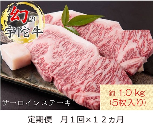 定期便 １２ヶ月 宇陀牛 黒毛 和牛 サーロイン ステーキ 約 1kg ( ５枚入 ) 冷蔵 月１回 ／ 山繁 ふるさと納税 新鮮 牛 肉 キャンプ 肉通 マニア チルド 希少 生肉 奈良県 宇陀市