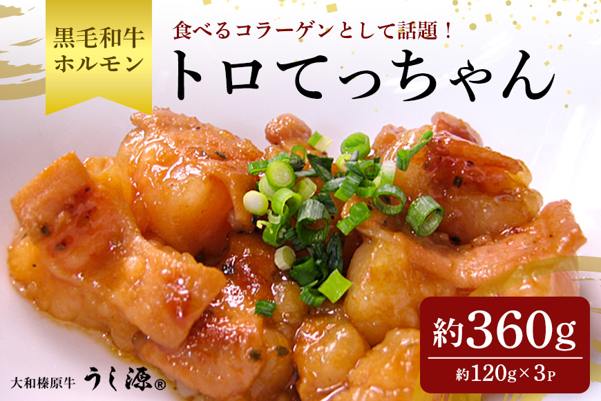 (冷凍)　国産　黒毛和牛　味付　トロてっちゃん　120g×3パック／うし源本店　ホルモン　コラーゲン　キャンプ　奈良県　宇陀市