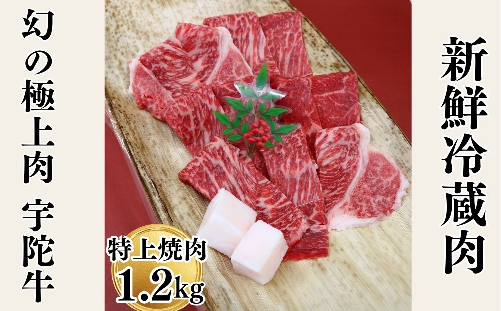 特産 認定肉 宇陀牛 国産 黒毛和牛 特上 焼肉 約1.2kg チルド / 宇陀 山繁 ふるさと納税 牛肉 レア 人気 バーベキュー キャンプ 寄付 ランキング おすすめ グルメ 肉 返礼品 送料無料 