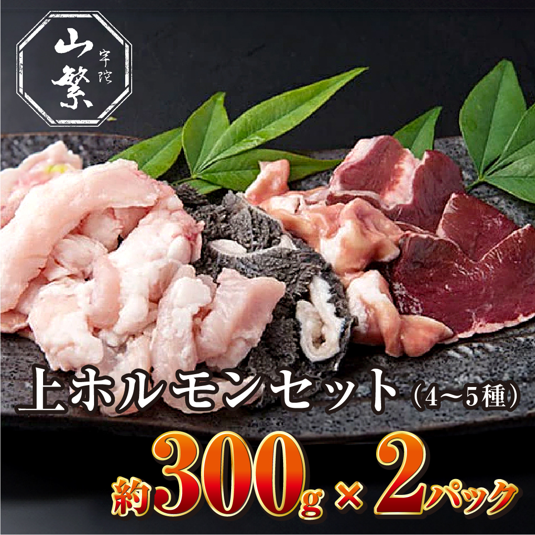 (冷凍)宇陀牛　黒毛和牛　上ホルモンセット（4～5種）　約300g×2パック