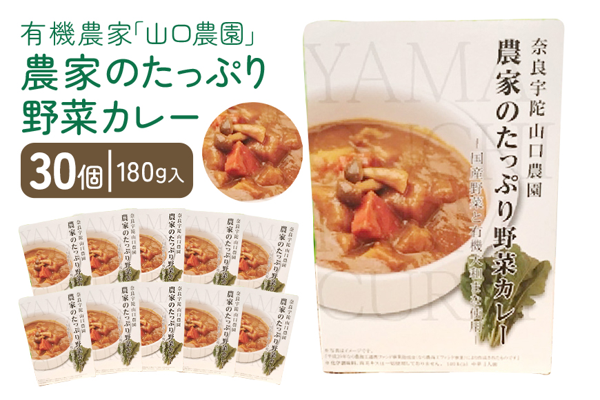 農家のたっぷり野菜カレー　３０個／山口農園 有機野菜 オーガニック 伝統野菜 レトルト 詰め合わせ カレー ギフト カレーセット スパイス 飯 キャンプお取り寄せ 奈良県 宇陀市 送料無料 おかず ご当地 簡単 お歳暮 暑中見舞い 保存 時短 国産 保存食 ふるさと納税 