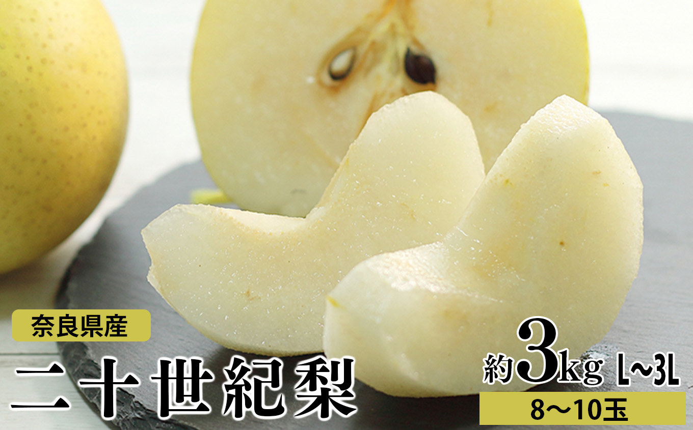 二十世紀梨 約3kg L ～ 3L （ 8玉 ～ 10玉 ） | 果物 くだもの フルーツ 梨 完熟 期間限定 産地直送 大淀町 奈良