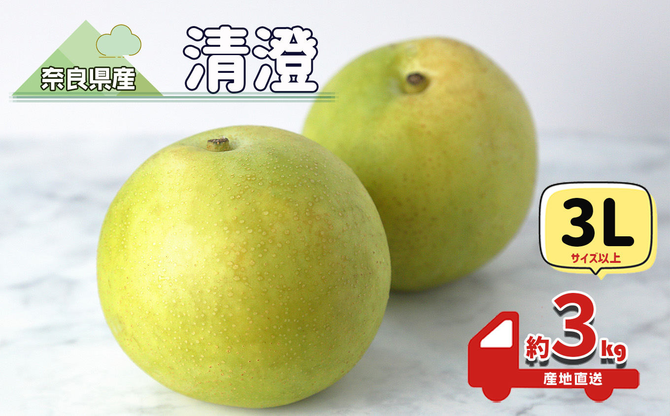 清澄 梨 奈良県産 旬の梨 産地直送 約3kg (5～7個)3Lサイズ以上