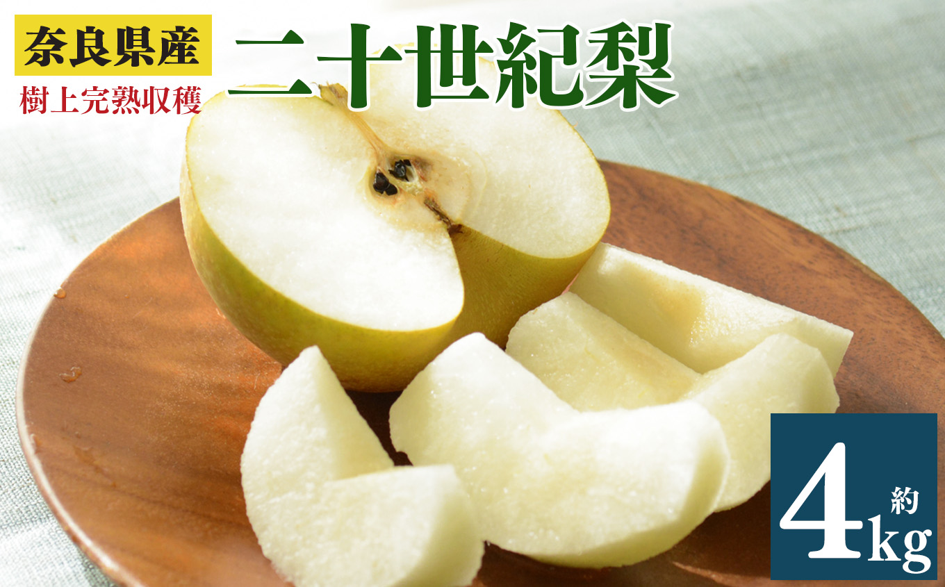 二十世紀 梨 約4kg 7～10個 3L～5Lサイズ | 果物 くだもの フルーツ 柿 かき 期間限定 産地直送 奈良県 大淀町 メディアで紹介