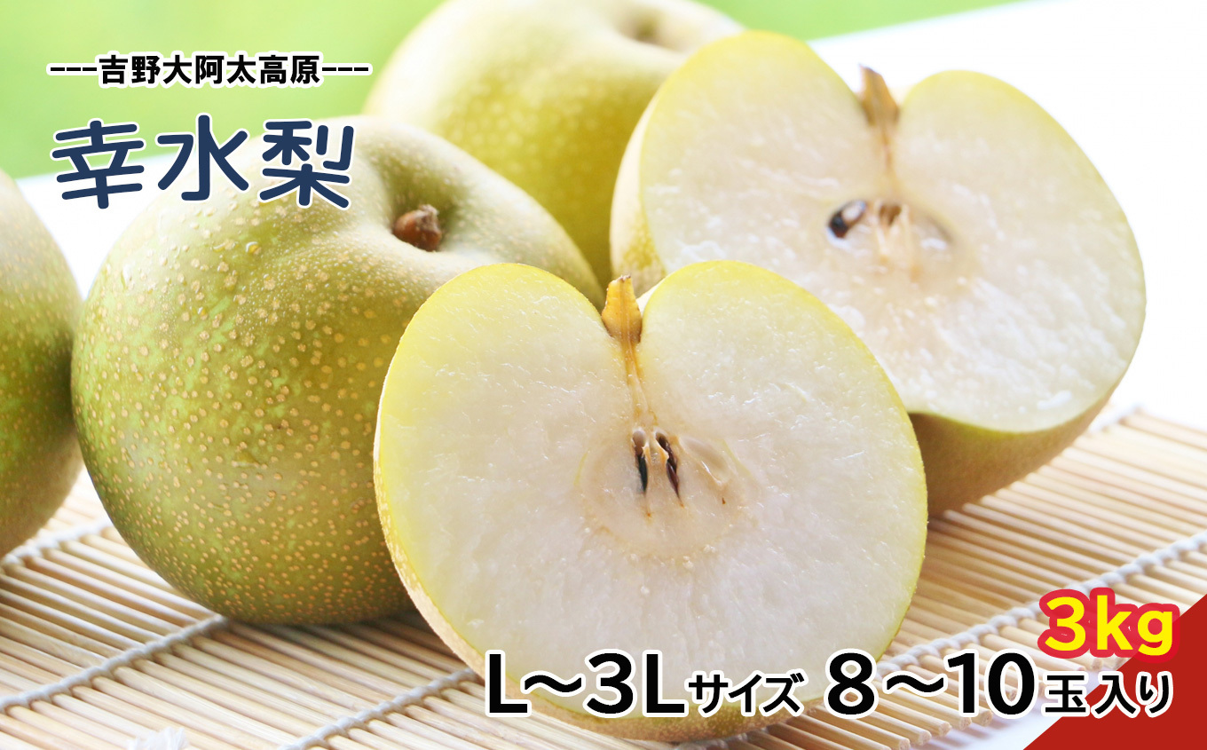 幸水 梨 L ～ 3L サイズ 約3kg 8～10玉 | フルーツ 果物 くだもの 梨 幸水 奈良県 大淀町