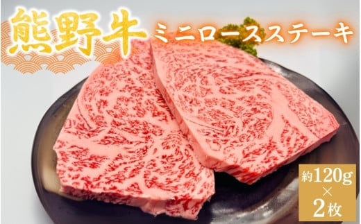 ＜熊野牛＞ミニロースステーキ　約120g×2枚 / 和歌山 田辺市 本宮 肉 牛肉 熊野牛 和牛 ロース ステーキ 豪華 冷凍 ギフト 贈答【hcy012】