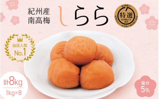 紀州産南高梅 梅干し しらら（塩分5％）1kg（500g×2入）×8個 / 梅干し 梅干 梅 和歌山 田辺 紀州南高梅 南高梅 うす塩 減塩 塩分控えめ ご飯のお供【nkt005-2】