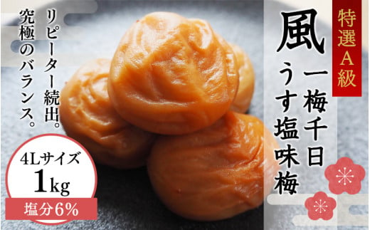 一梅千日うす塩味梅（塩分6％） 「風」 A級品4Lサイズ1kg / 和歌山 和歌山県産 田辺市 紀州南高梅 南高梅 梅干し 梅干 梅 うめ 肉厚 お米 おにぎり 焼酎 梅酒 健康 うす塩味 塩分6％ ご飯のお供【umm001】