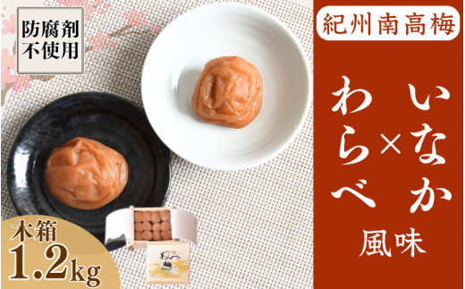 紀州産南高梅 わらべ風味といなか風味のセット 計1.2kg (600g×2種) 木箱/ 梅干し 梅干 梅 和歌山 田辺 紀州南高梅 南高梅 かつお昆布だし お試し 出汁 磯塩 防腐剤不使用 ご飯のお供 スポーツ 運動 塩分補給【wrb009-1】