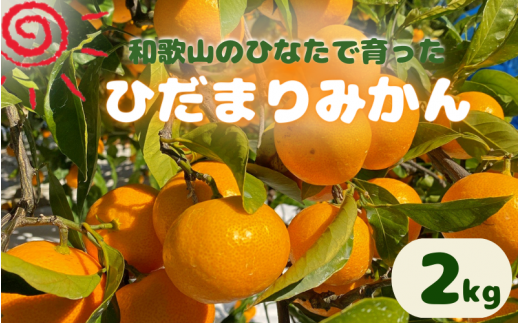 <先行予約＞日向屋 ひだまりみかん 2kg ※2024年12月頃に順次発送予定【期間限定・先行予約・2024/11/30まで】 / 田辺市 みかん 期間限定 先行予約 ミカン 和歌山 紀州 【hnt014】