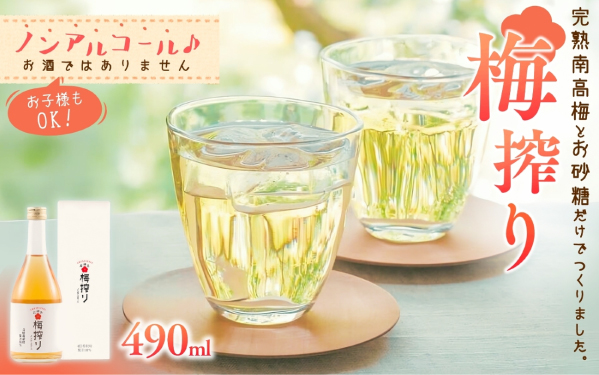 梅搾り(ノンアルコール)490ml / 田辺市 梅干し 梅干 梅 うめ 梅ジュース 炭酸割り 紀州産 南高梅 完熟梅[isg027-1]