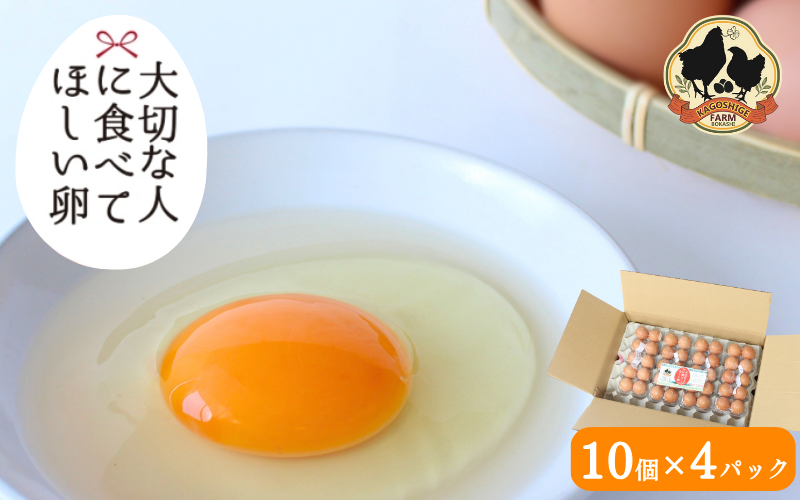 大切な人に食べてほしい卵 10個入×4パック【冷蔵配送】 / 田辺市 卵 たまご 鶏卵 平飼い お取り寄せ 卵かけごはん 和歌山県