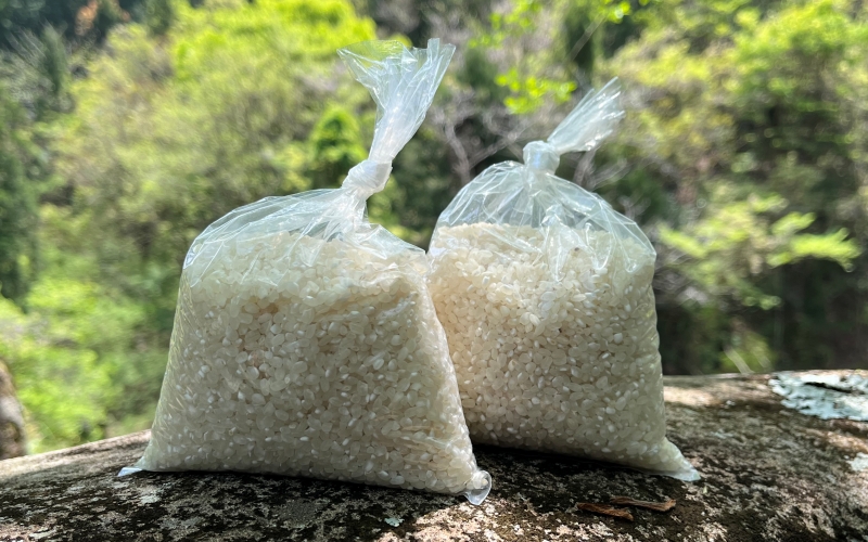 香米　1.2kg（300g×4袋）  / 田辺市 お米 米 ご飯 香 