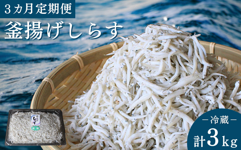 【3カ月定期便】釜揚げしらす（ご家庭用）計3kg（1kg×3回）※北海道・沖縄・離島配送不可 / しらす丼 丼ぶり シラス 家庭用 冷蔵 お取り寄せ 和歌山県 田辺市【has011-tk】