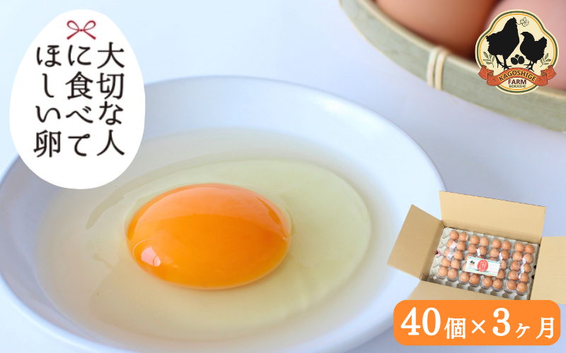 【3カ月定期便】大切な人に食べてほしい卵　40個×3回【冷蔵配送】 / 田辺市 卵 たまご 鶏卵 平飼い お取り寄せ 卵かけごはん 和歌山県