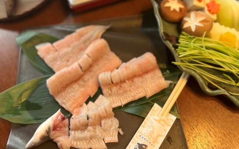 うなちり鍋セット(2〜3人前) / 和歌山 田辺 うなぎ 鰻 国産 鍋　なべ